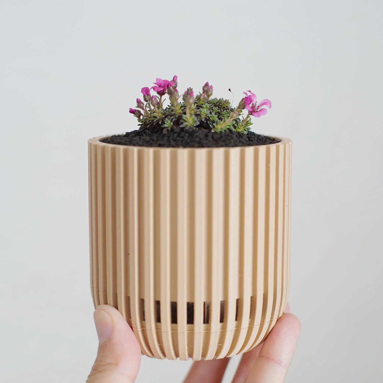 Platelessポット 3号 — Fushigi Products SHOP